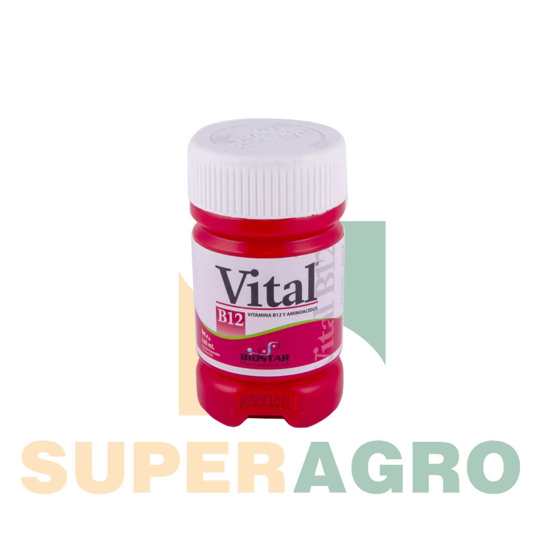 VITAL-B12®.png